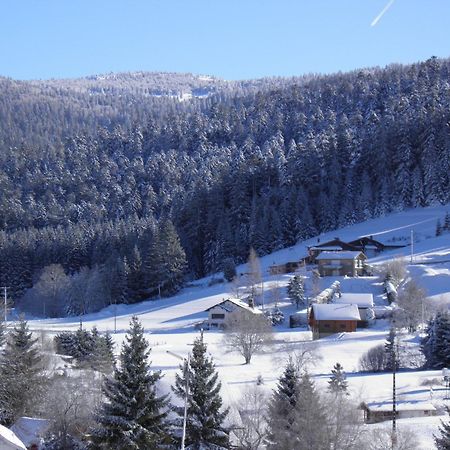 Chalet Renove Proche Du Valtin - Ideal Pour Famille, Randonnees Et Ski, Wifi, Luges Fournies - Fr-1-589-150 Ban-sur-Meurthe-Clefcy Exterior foto