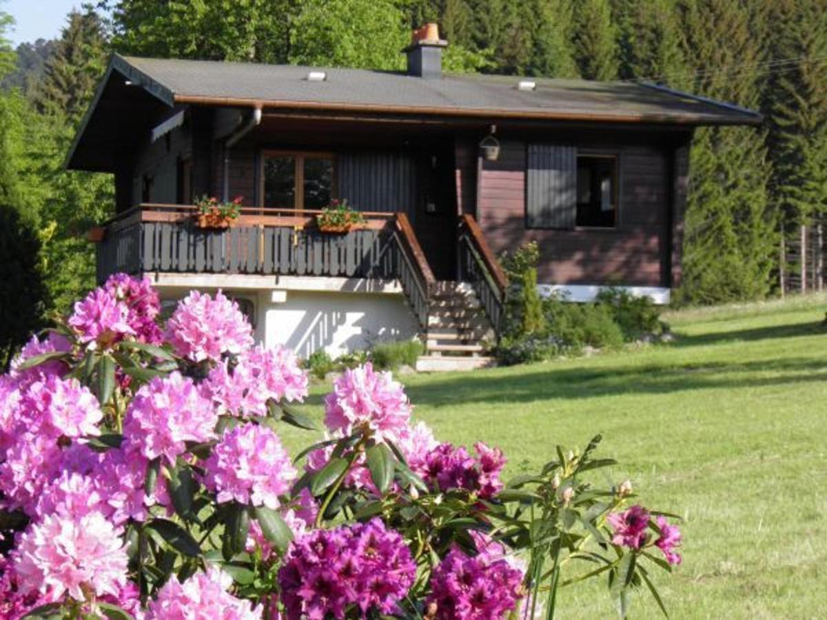 Chalet Renove Proche Du Valtin - Ideal Pour Famille, Randonnees Et Ski, Wifi, Luges Fournies - Fr-1-589-150 Ban-sur-Meurthe-Clefcy Exterior foto